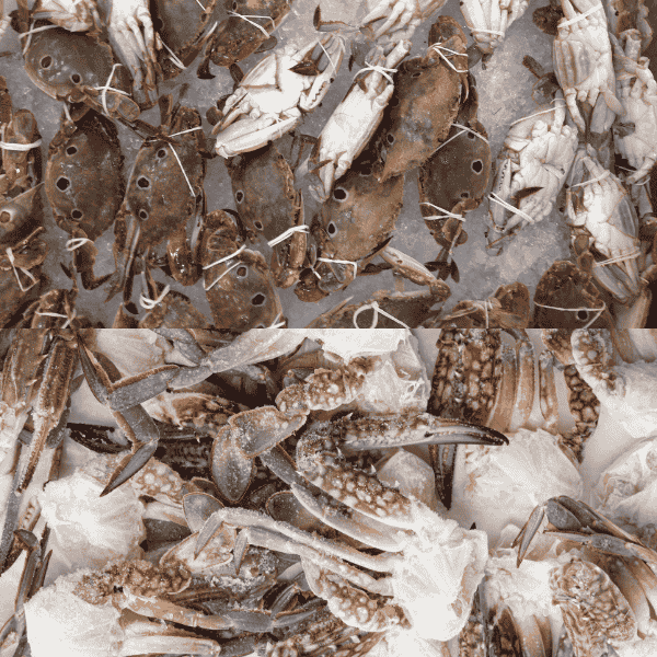 nhan biet ghe ngop nhan biet ghe ngop